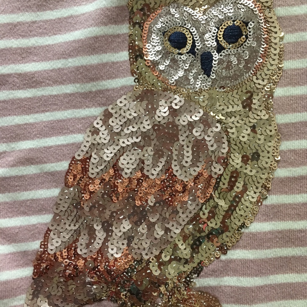 Mini Boden Owl Dress